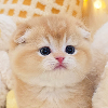 ������3